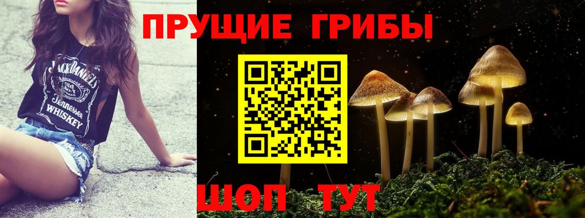 Галлюциногенные грибы Psilocybine cubensis Улан-Удэ